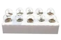 bosma-zarowka-6w-06w-e10