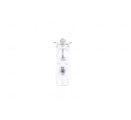 nissens-zawor-rozprezny-mercedes-clk-c209-02-