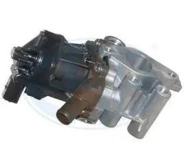 era-zawor-egr-zawor-egr