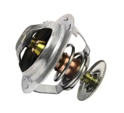 starline-termostat-renault-espace