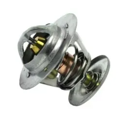 starline-termostat-ford-escort-fiesta-focus