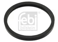 febi-oring