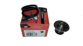 gates-termostat-renault-laguna-safrane-2-0-2-5