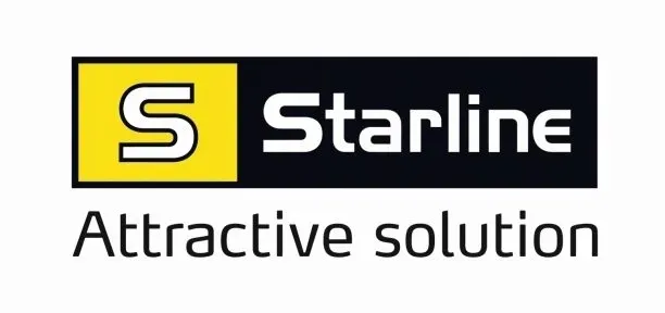 starline-rolka-micro-v-prowadzaca-ford-typ-samochodu-samochody-dostawcze-samochody-osobowe