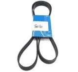 skf-vkmv-6pk1355-pasek-klinowy-wielorowkowy-numery-katalogowe-zamiennikow-a-b-a-6pk1353-a-z-meisterteile-azmt-20-033-1560-continental-ctam-6pk1352-continental-ctam-6pk1352k1-febi-bilstein-28940-kamoka-7016101-litens-lv6pk1355-omnicraft-2330388-open-parts-pvb1352-06-procodis-france-6pk1352-ridex-305p0170-ridex-305p0170p-snr-ca6pk1352-stark-skpb-0090061-tatsumi-tfb1136-topran-109-643-triscan-8640-601353e-wilmink-group-wg1153056-wilmink-group-wg1907054-wilmink-group-wg2002552