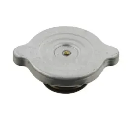 swag-korek-chlodnicy-mercedes