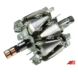 ast-rozruszn-wirnik-alternatora-typ-bosch