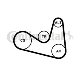contitech-pasek-micro-v-wielorowkowy-6pk1180k2