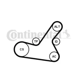 contitech-pasek-micro-v-wielorowkowy-6pk1564k2