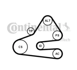 contitech-pasek-micro-v-wielorowkowy-6pk1613k1