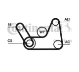 contitech-pasek-micro-v-wielorowk-6pk1019-elast-t1