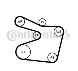 contitech-pasek-micro-v-wielorowkowy-6pk1555k1