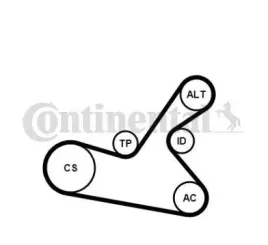 contitech-pasek-micro-v-wielorowkowy-6pk1125k1