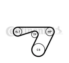 contitech-pasek-micro-v-wielorowkowy-6pk1180k1