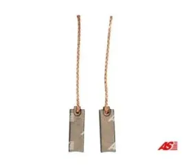 ast-szczotki-alternatorow