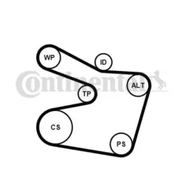 contitech-pasek-micro-v-wielorowkowy-6pk1538k2