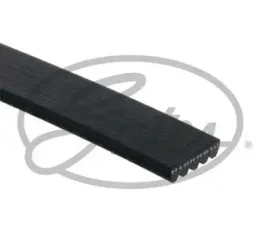 gates-pasek-klinowy-wielorowkowy-micro-v-5pk1230