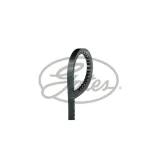 gates-pasek-klinowy-95-x-625-producent-czesci-gates