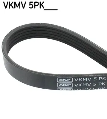 skf-pasek-micro-v-5pk1199-stan-nowy-numer-katalogowy-oryginalu-land-rover-pqs-101180-mg-gmb-51202-mg-pqs-101180-nissan-11720-00q1u-nissan-11720-00qap-nissan-11720-bn701-opel-45-00-033-opel-9160333-renault-11-72-093-54r-renault-77-00-300-347-renault-82-00-034-396-renault-82-00-850-092-rover-pqs-101180-vauxhall-45-00-033-vauxhall-9160333