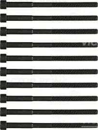 zestaw-srub-glowicy-cylindrow-victor-reinz-14-55033-01