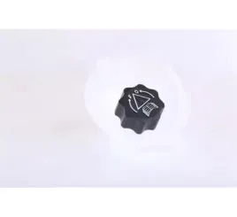 nissens-zbiornik-wyrownawczy-korek-peugeot-307-00