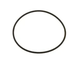 pierscien-gumowy-bosch-1-460-225-029