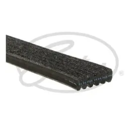 gates-pasek-klinowy-wielorowkowy-micro-v-6dpk1188