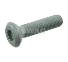swag-sruba-polosi-torx-m12x15-54mm