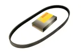 bosch-pasek-micro-v-6pk1590-wersja-europejska