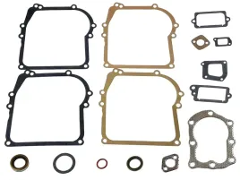 zestaw-uszczelek-briggs-stratton-450-500-classic