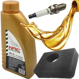 filtr-powietrza-briggs-450e-500-799579-olej-swieca