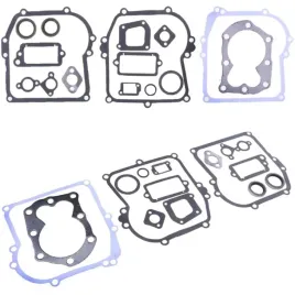 zestaw-uszczelek-briggs-stratton-794209-298989