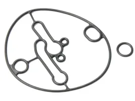 uszczelka-komory-gaznika-briggs-stratton-698781