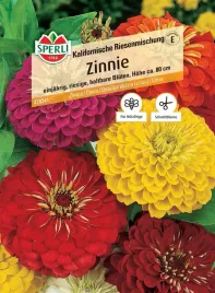 cynia-kalifornische-riesenmischung-nasiona-premium-sperli