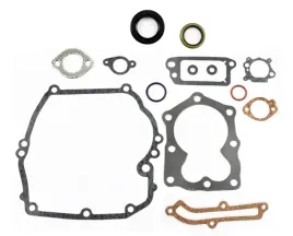 zestaw-uszczelek-briggs-quantum-493263-496117-bs