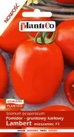 pomidor-lambert-podluzny-lima-na-soki-przetwory-wczesny-plenny-plantico