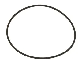 pierscien-gumowy-bosch-1-410-210-054