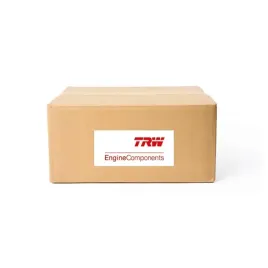 zawor-ssacy-539032-trw