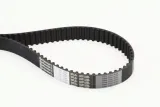 pasek-rozrzadu-ct1244-contitech