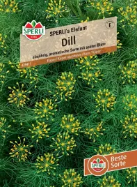 koper-ogrodowy-sperli-s-elefant-nasiona-premium-sperli