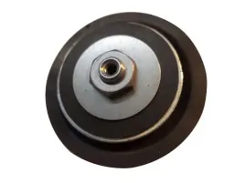 element-pompy-paliwa-7243-006-delphi