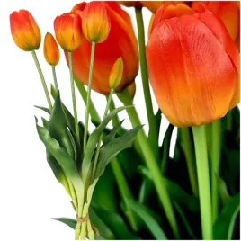 tulipany-silikonowe-gumowane-jak-zywe-premium-tulipan-40cm-5-szt