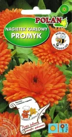 nagietek-lekarski-pomaranczowy-polan-karlowy-promyk-miododajny-3g