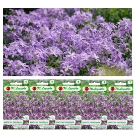 nasiona-maciejka-dwuroga-rozowolawendowa-5x5g