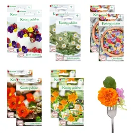 kwiaty-jadalne-bratek-stokrotka-nagietek-chaber-nasturcja