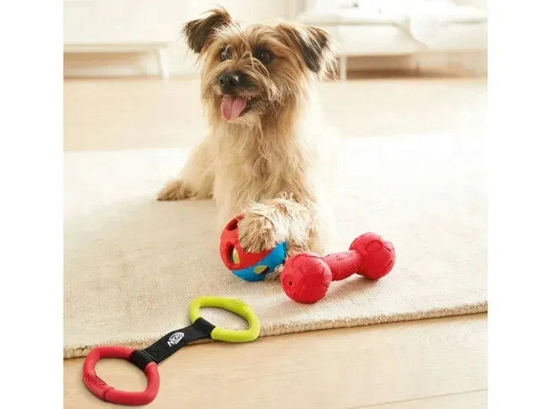 szarpak-dla-psa-nerf-dog