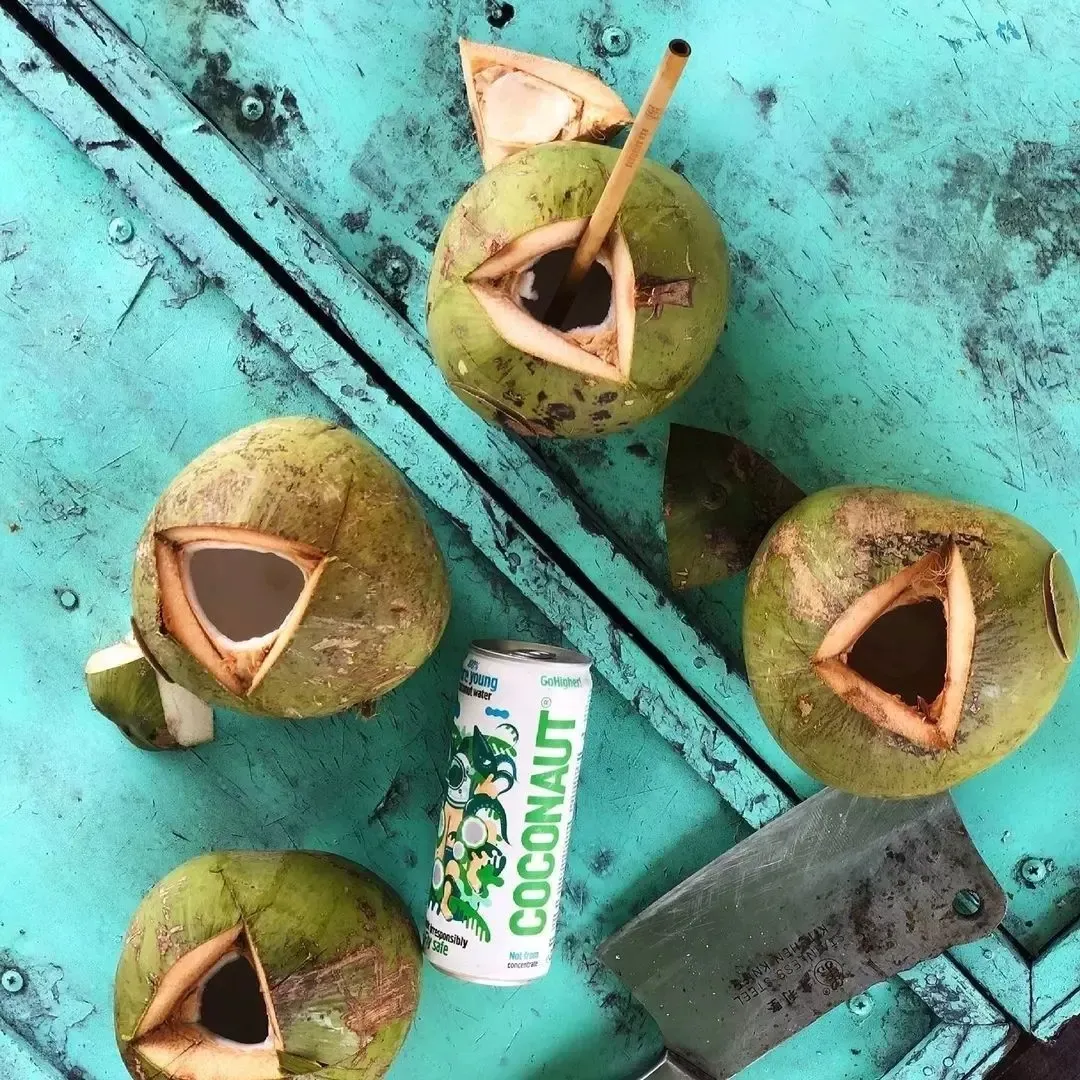 coconaut-woda-z-mlodego-kokosa-320ml