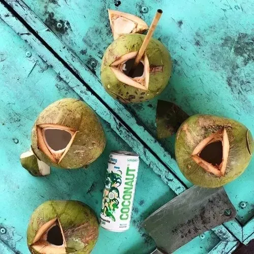 coconaut-woda-z-mlodego-kokosa-320ml