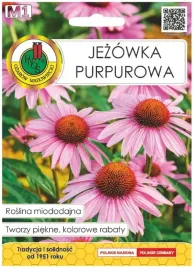 jezowka-purpurowa-nasiona-1g-roslina-miododajna-i-lecznicza