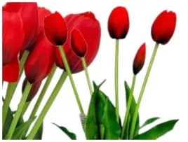 tulipany-silikonowe-gumowane-jak-zywe-premium-tulipan-40cm-5-szt